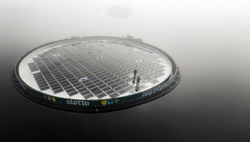 Empresa de energía solar flotante logra millonaria suma para crecer en la salmonicultura chilena