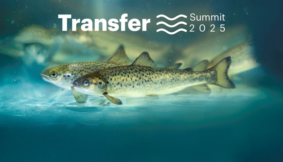 Salmofood realizará evento integral sobre transferencia de peces al mar