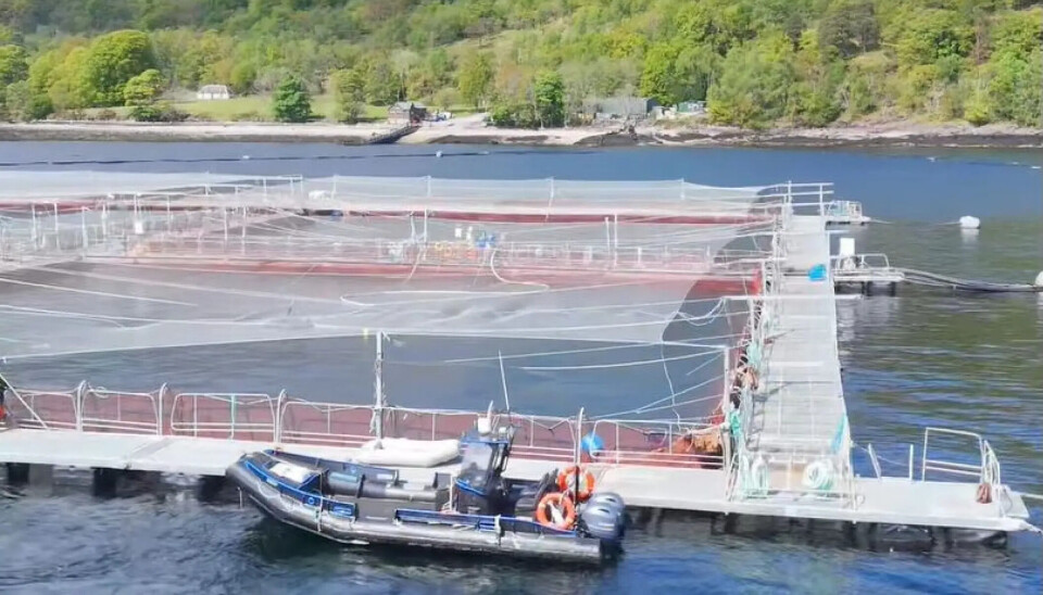 75.000 salmones escapan en Escocia durante la tormenta Amy