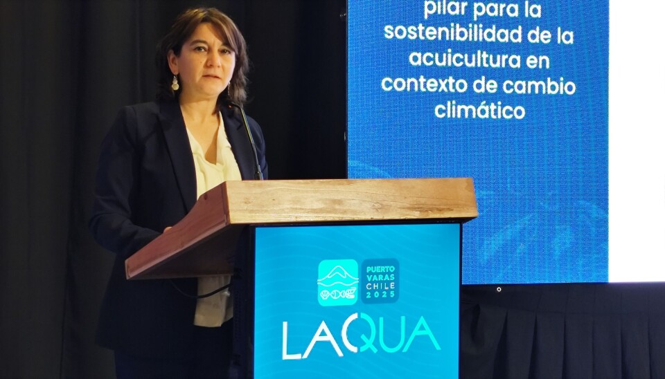 Dra. Silvia Soto.
