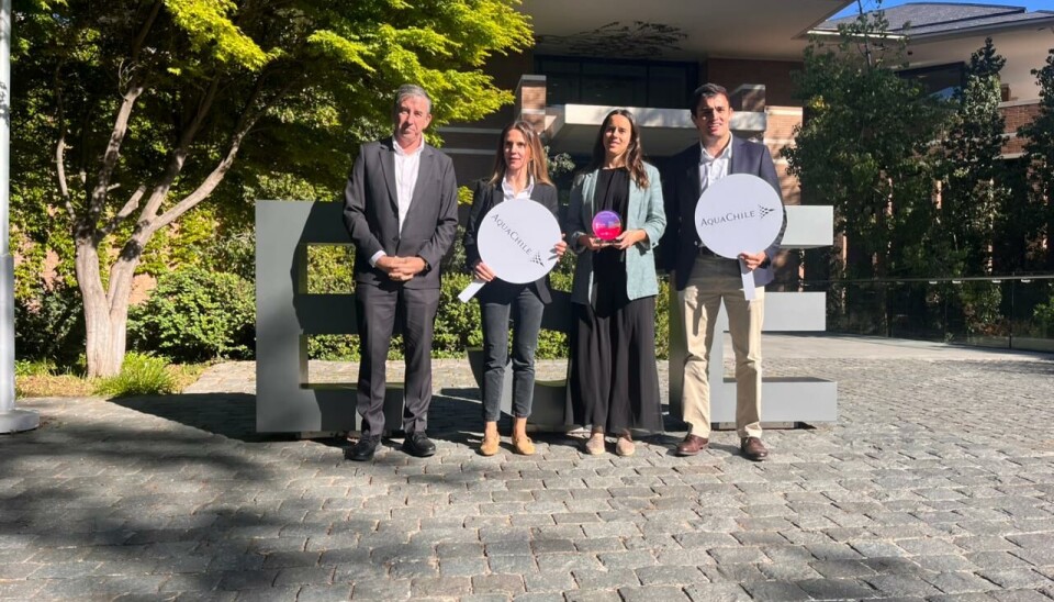 AquaChile reafirma su liderazgo tras obtener el primer lugar en ranking de empresas innovadoras