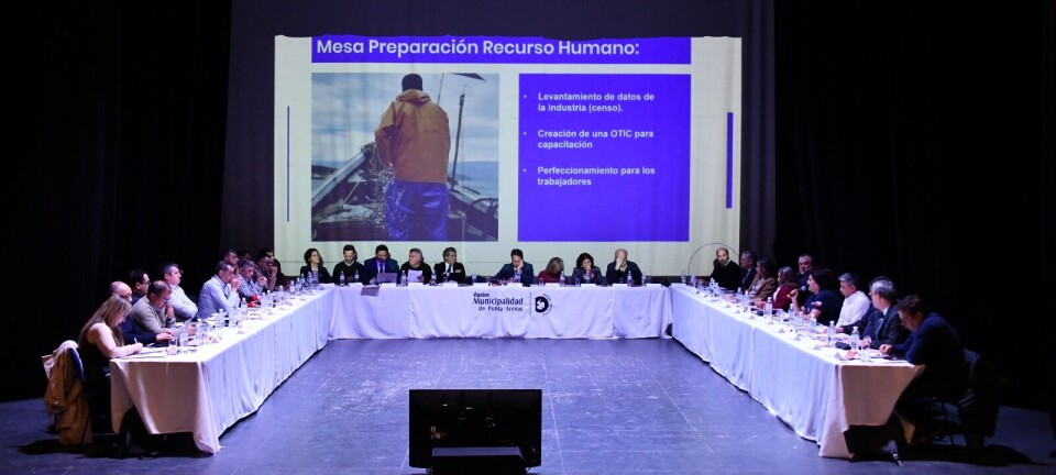 Plan Salmón 2050: en Punta Arenas quieren desarrollo de la industria pero disminuyendo errores