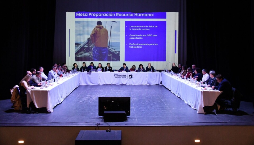 Plan Salmón 2050: en Punta Arenas quieren desarrollo de la industria pero disminuyendo errores