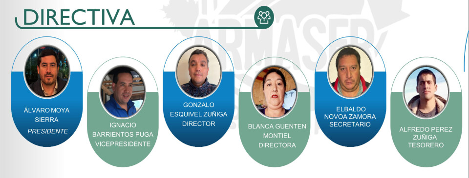 Directiva de Armaser.