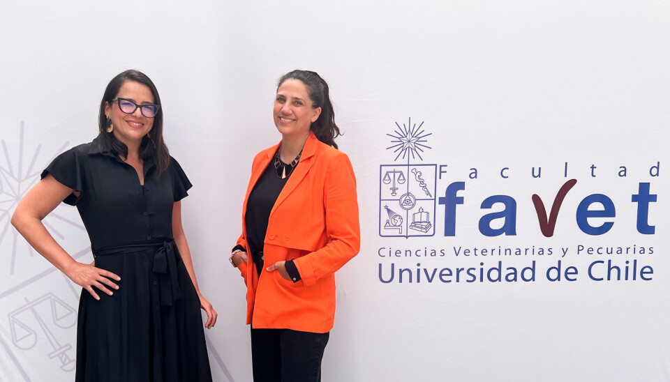 Dras. Javiera Cornejo y Carolina Valenzuela.