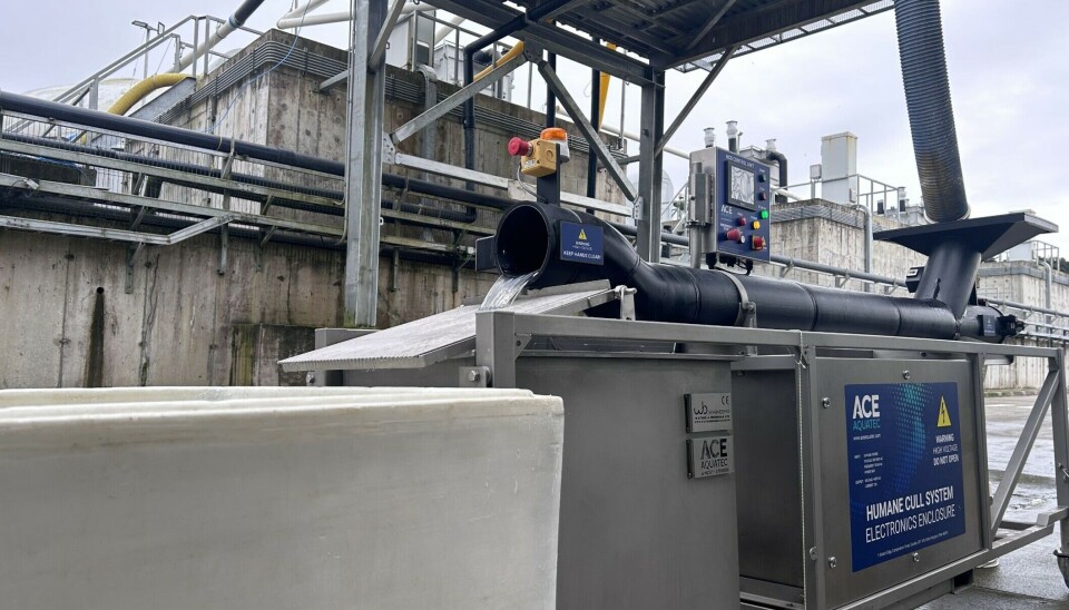 Proveedor escocés firma importante contrato con productor chileno de smolts