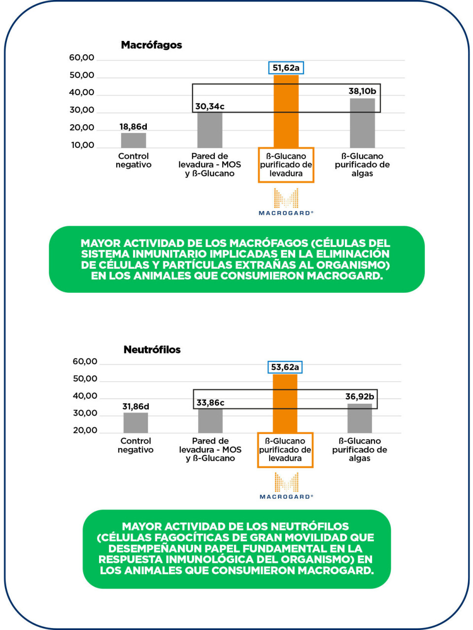 Impactos de la purificación y diferentes fuentes de β-glucanos en la estimulación inmunitaria