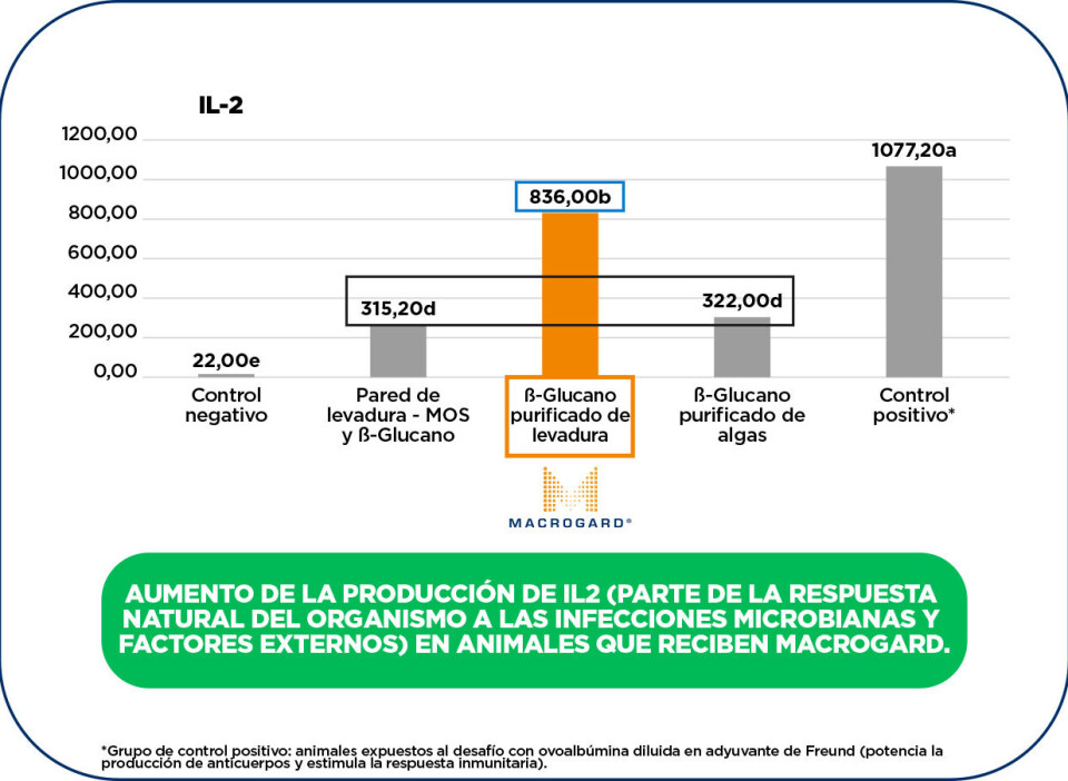 Impactos de la purificación y diferentes fuentes de β-glucanos en la estimulación inmunitaria