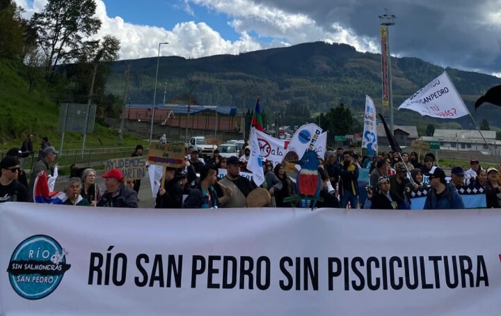 Solicitan al Tribunal Ambiental la suspensión total de obras de proyecto salmonicultor