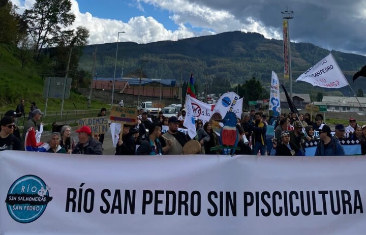 Solicitan al Tribunal Ambiental la suspensión total de obras de proyecto salmonicultor