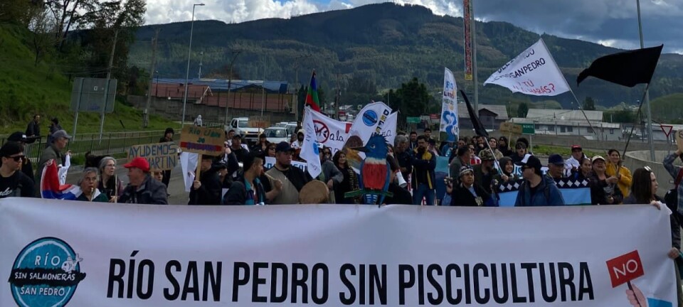 Solicitan al Tribunal Ambiental la suspensión total de obras de proyecto salmonicultor