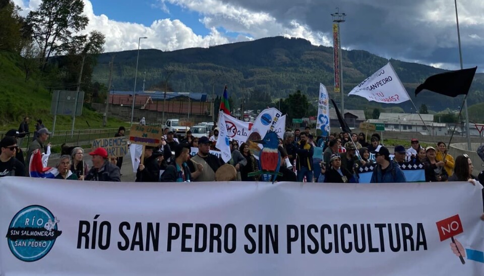 Solicitan al Tribunal Ambiental la suspensión total de obras de proyecto salmonicultor