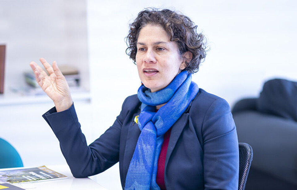 Salmonicultores solicitan pronunciamiento a la Contraloría por falta de respuesta del Gobierno