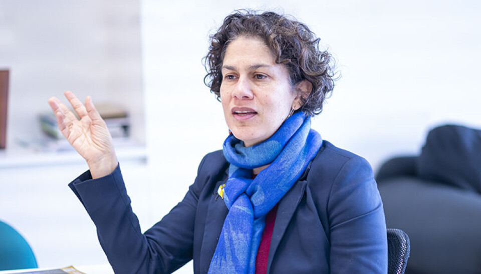 Ministra del Medio Ambiente Maisa Rojas.