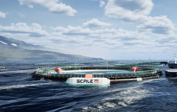 ScaleAQ vende su primera jaula cerrada para el cultivo de salmones