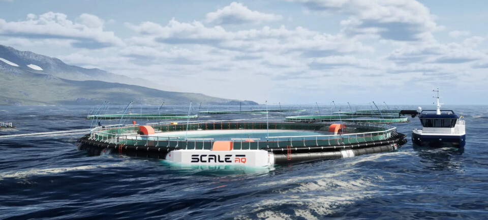 ScaleAQ vende su primera jaula cerrada para el cultivo de salmones