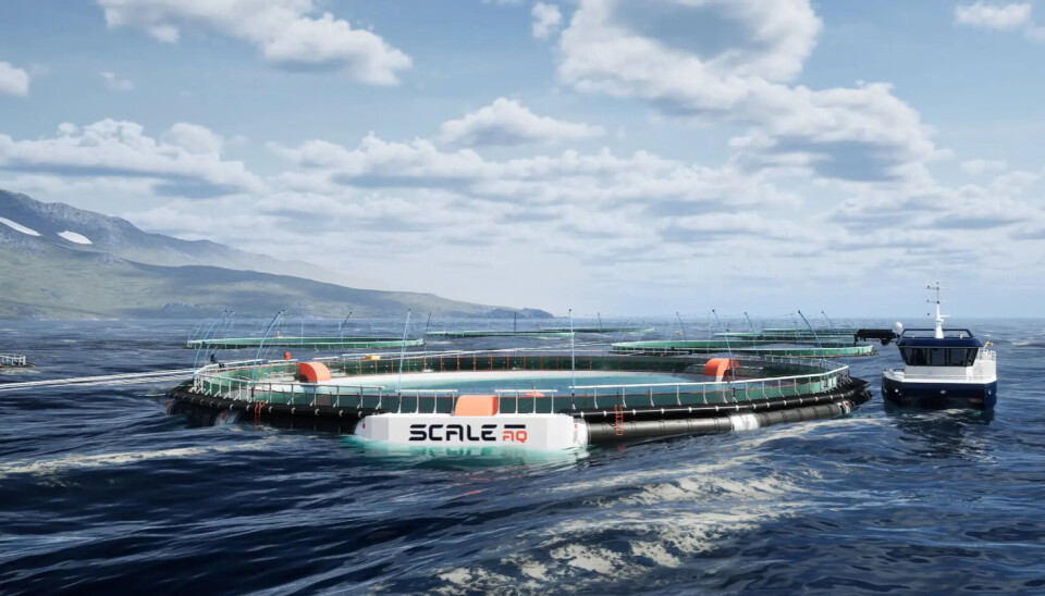 ScaleAQ vende su primera jaula cerrada para el cultivo de salmones