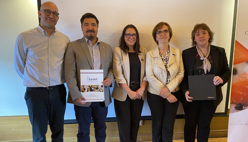 Universidad de Chile y Consejo del Salmón refuerzan su alianza en sanidad acuícola