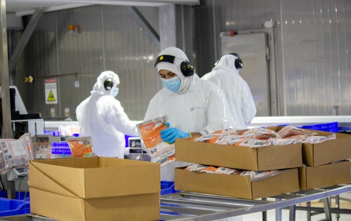 Salmones Camanchaca certificada Zero Waste en tres instalaciones estratégicas