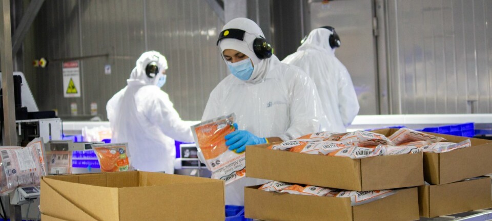Salmones Camanchaca certificada Zero Waste en tres instalaciones estratégicas