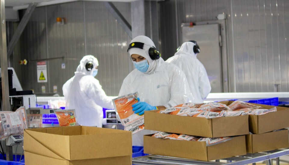 Salmones Camanchaca certificada Zero Waste en tres instalaciones estratégicas