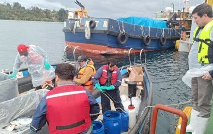 “No ha habido recapturas significativas del escape de salmones de Marine Farm”