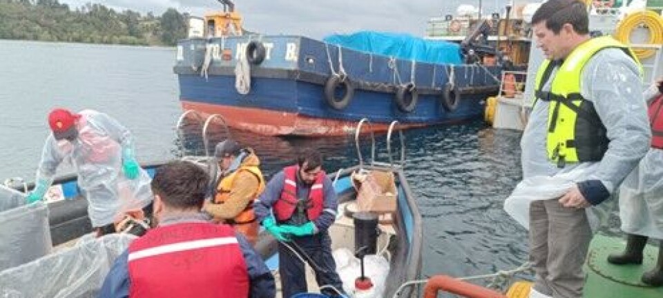 “No ha habido recapturas significativas del escape de salmones de Marine Farm”