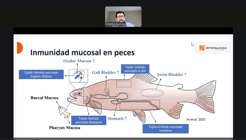 Presentación Dr. Matías Poblete “Vacunación por inmersión en salmonicultura chilena'.