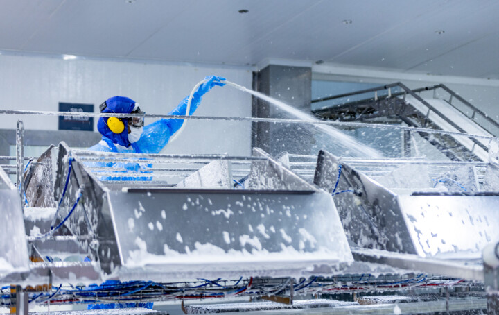 SHS: la empresa que lidera la higiene en plantas salmonicultoras de Chile