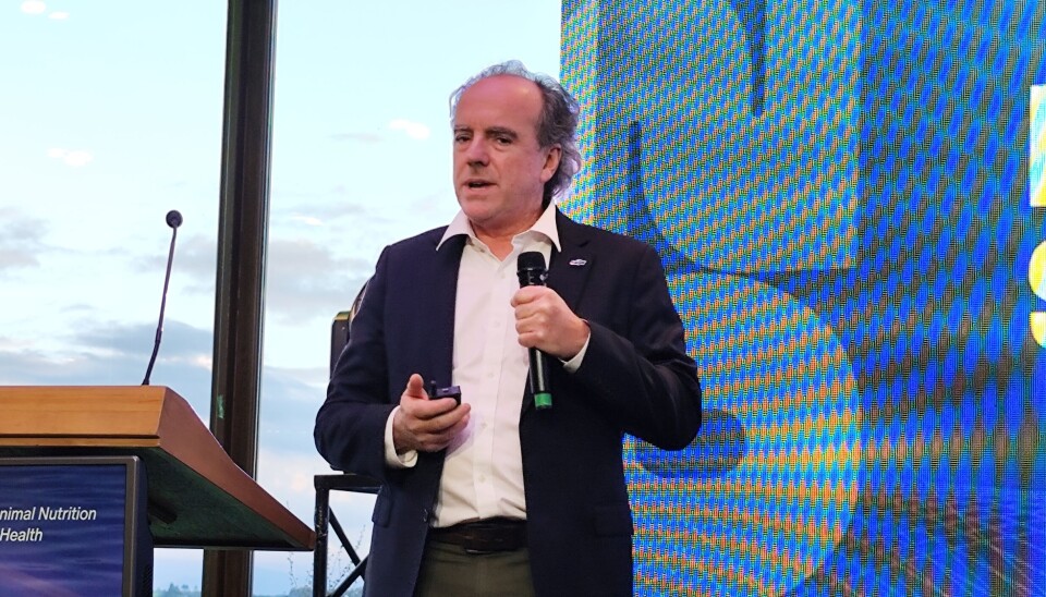 Rodrigo Solervicens.