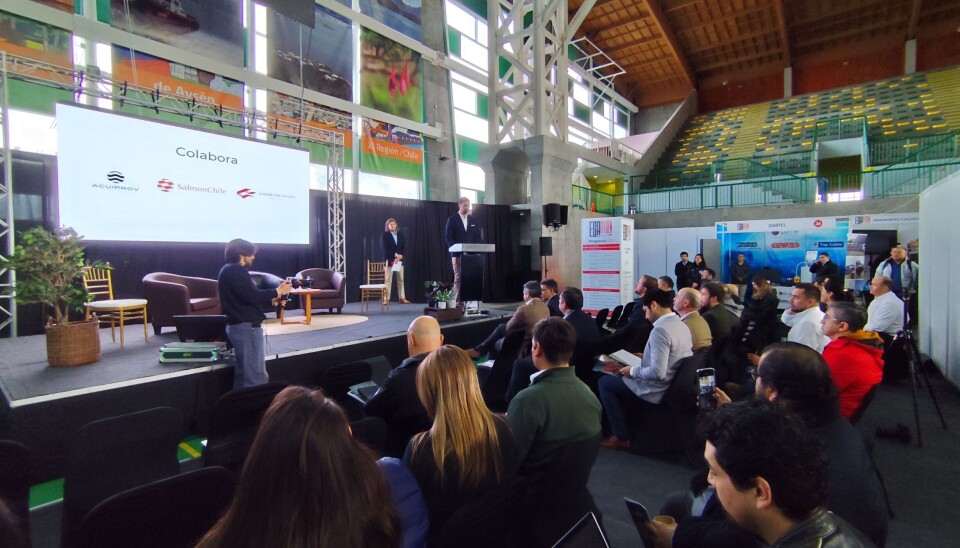 Dan a conocer innovaciones que lideran avance de la salmonicultura en la Región de Aysén