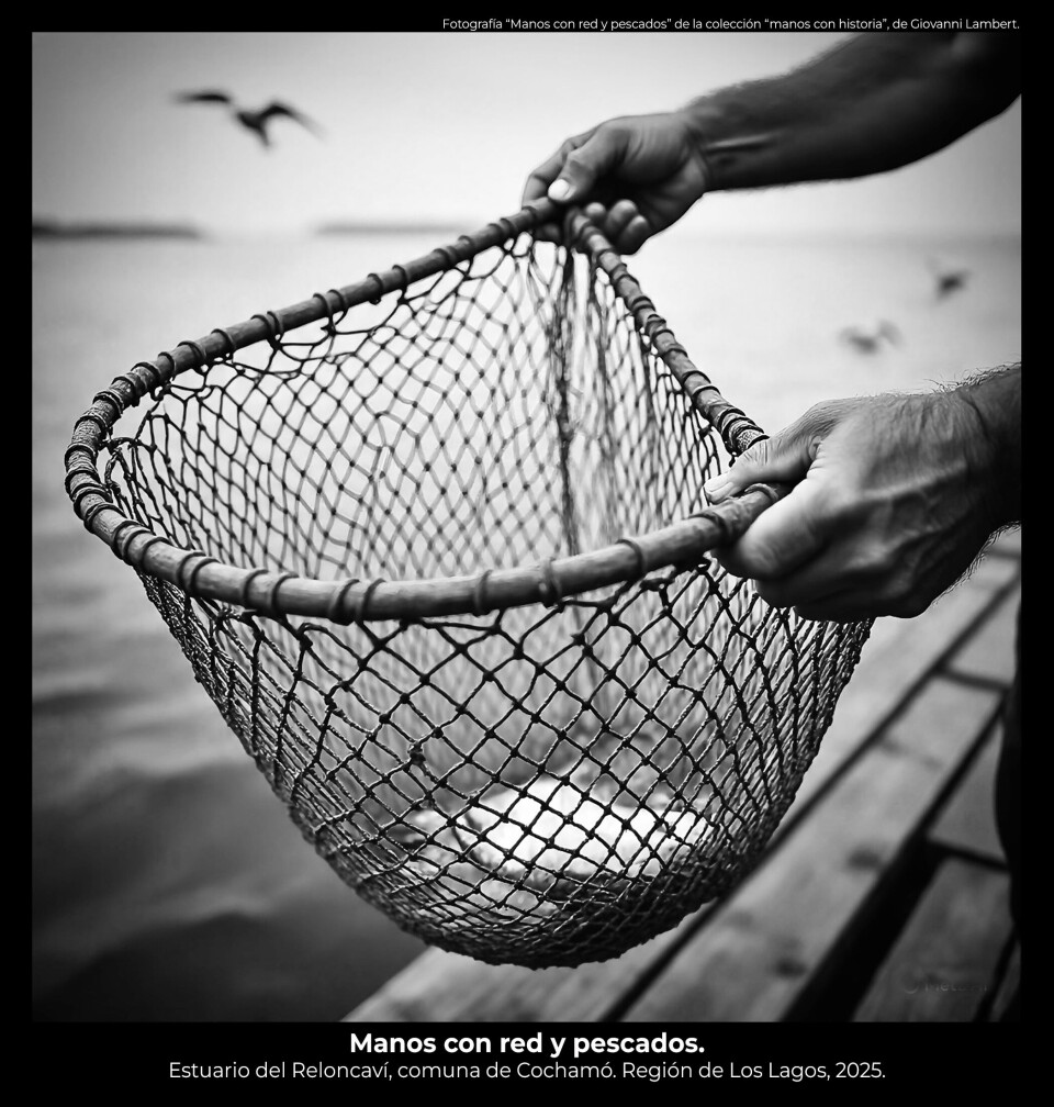 “Manos, red y peces”, 1º lugar.