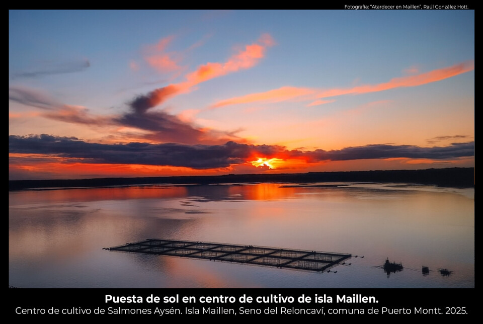 “Atardecer en Maillen”, 2º lugar.