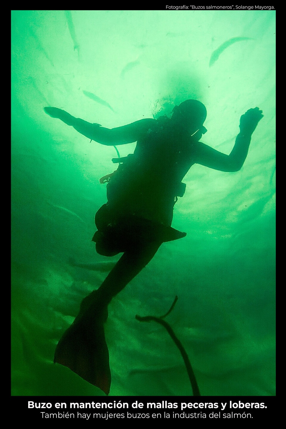 “Buzo salmonero”, 3º lugar.