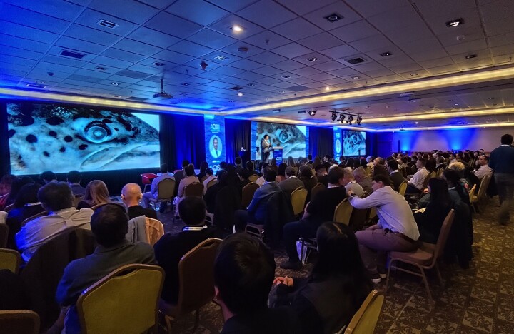 AquaSalud 2025: salmonicultura chilena muestra alta productividad y prevén récord para este año