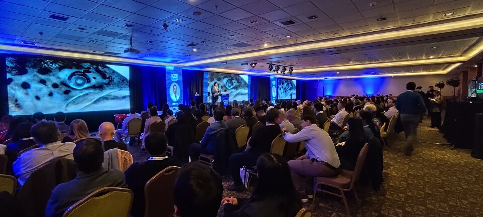 AquaSalud 2025: salmonicultura chilena muestra alta productividad y prevén récord para este año