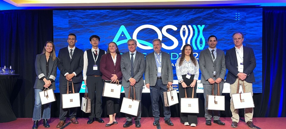 Expertos revelan claves nutricionales para mejorar la salud y el desempeño del salmón