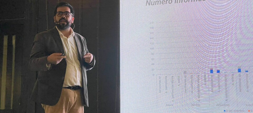 Presentan vacunas efectivas contra furunculosis y herramienta que baja a la mitad mortalidad por SRS