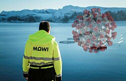 Mowi calcula en hasta 65 mil las toneladas de salmón chileno en frigoríficos
