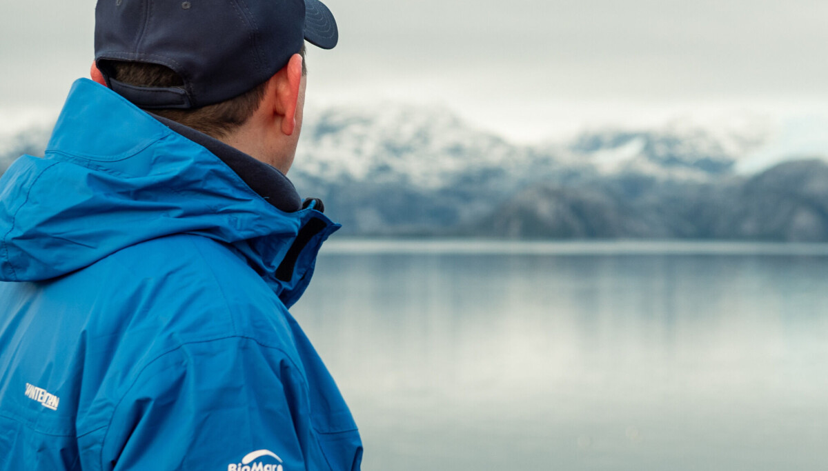 HSMI: Aumento de la enfermedad en salmón coho preocupa a la industria