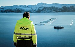 Beneficio operativo de holding Mowi cae 46% en el tercer trimestre