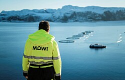 Mowi es la primera salmonicultora en emitir exitosamente bonos verdes