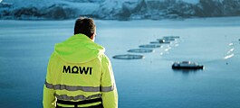Mowi logra importante refinanciamiento crediticio vinculado a la sostenibilidad
