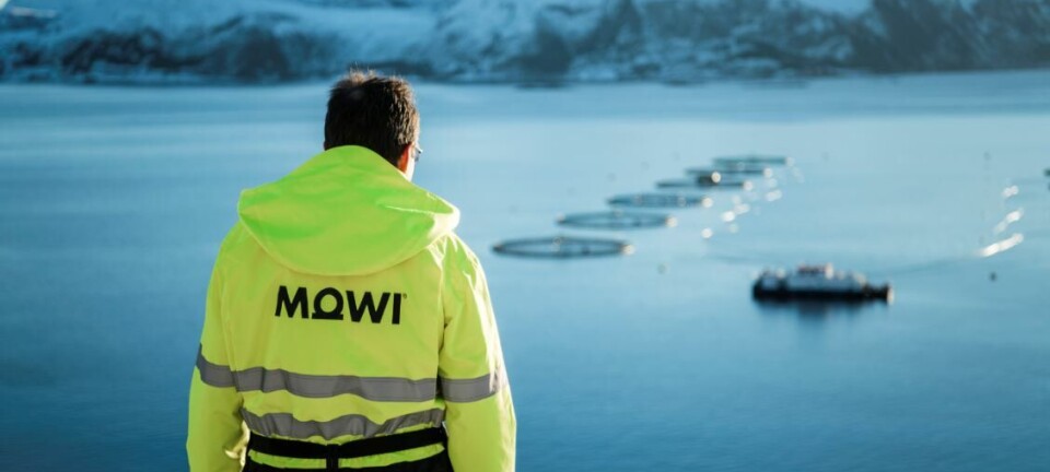 Mowi es la primera salmonicultora en anunciar financiamiento 100% verde