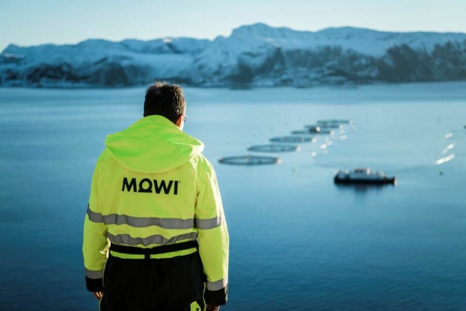 Mowi emitió el primer bono verde de la industria del salmón. Foto: Archivo Salmonexpert.