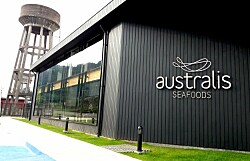 Incubadora de Australis Seafoods financiará tres emprendimientos magallánicos