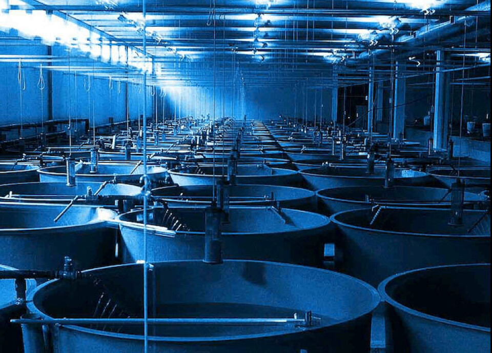 Piedrahita expondrá sobre diseño y evolución de los sistemas, control de los sólidos, diseño de estanques y el control de gases. Foto: BioMar.