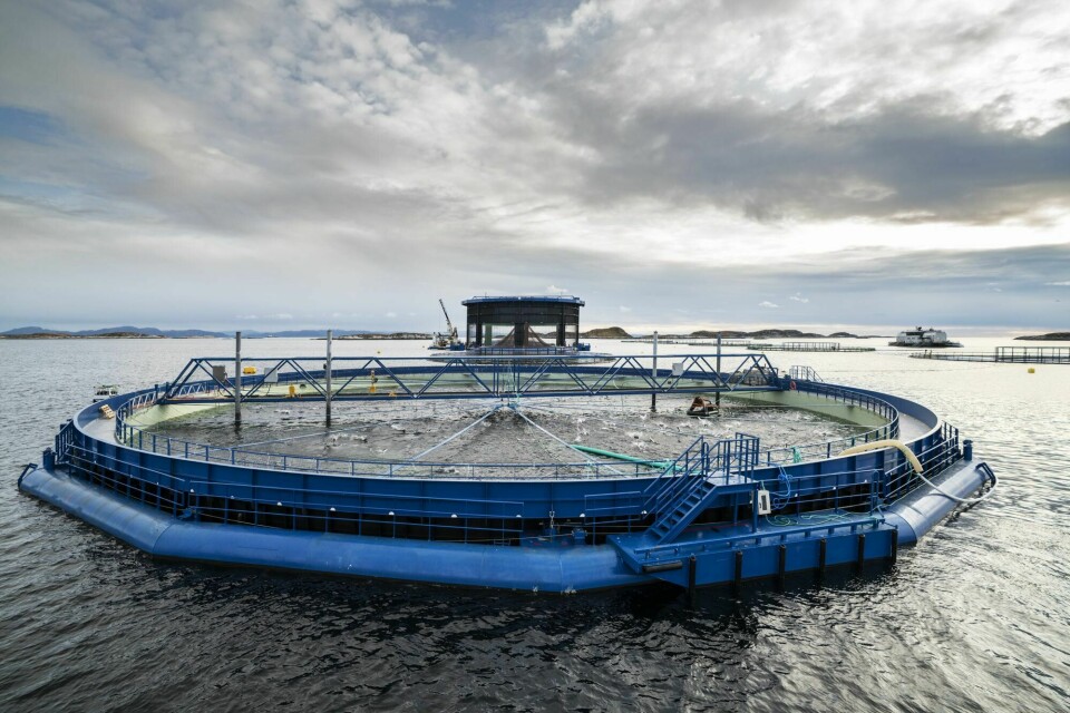 Se ha realizado un trabajo significativo para documentar los efectos de Aquatraz. Foto: Midt-Norsk Havbruk.