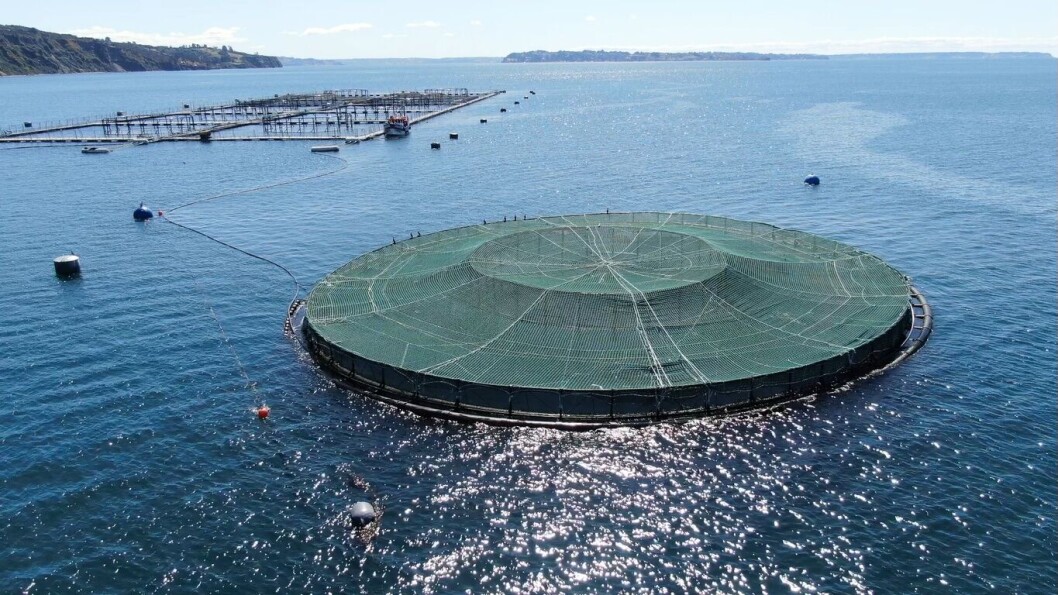 Jaula sumergible de EcoSea. Foto: EcoSea. Jaula sumergible de EcoSea. Foto: EcoSea.