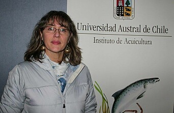 Investigadora acuícola UACh es promovida a la categoría de Profesora Titular